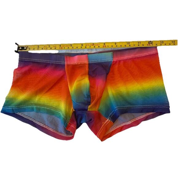 Men’s PRIDE Colors Polyester Mesh Small Boxer Briefs See Through Low Rise NWOT - Picture 9 of 13